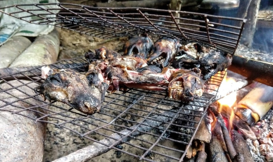 Food at the Iban Longhouse  civet cat and mouse deer heads