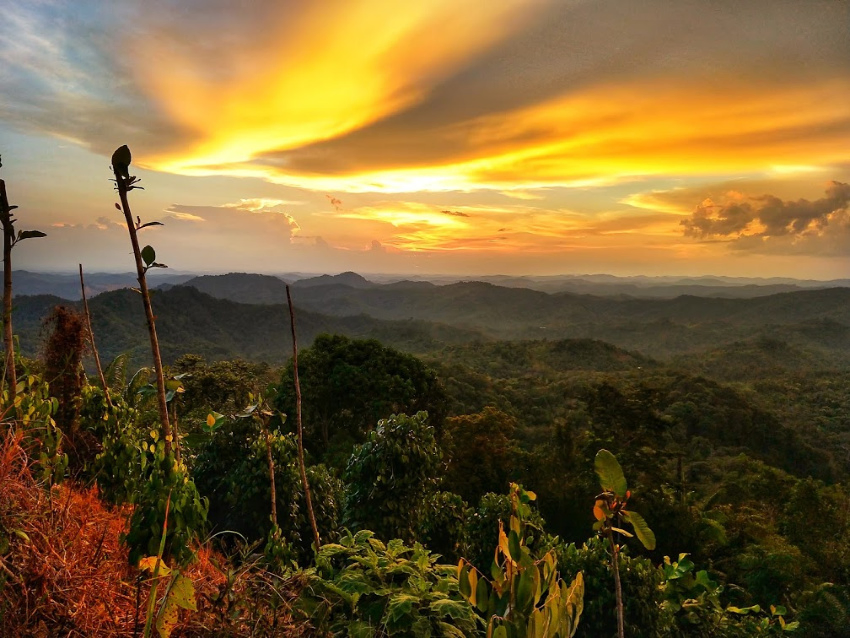 Iban Longhouse stay near Kuching Pepper fields beautifulSunset