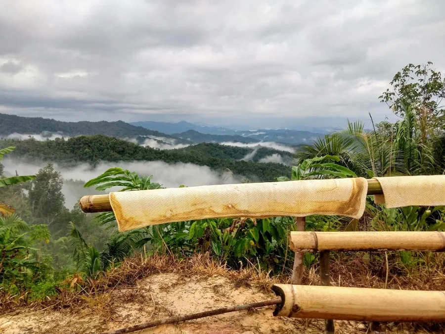 Rubber curing and drying outside the Sarawak longhouseRubber production in Sarawak