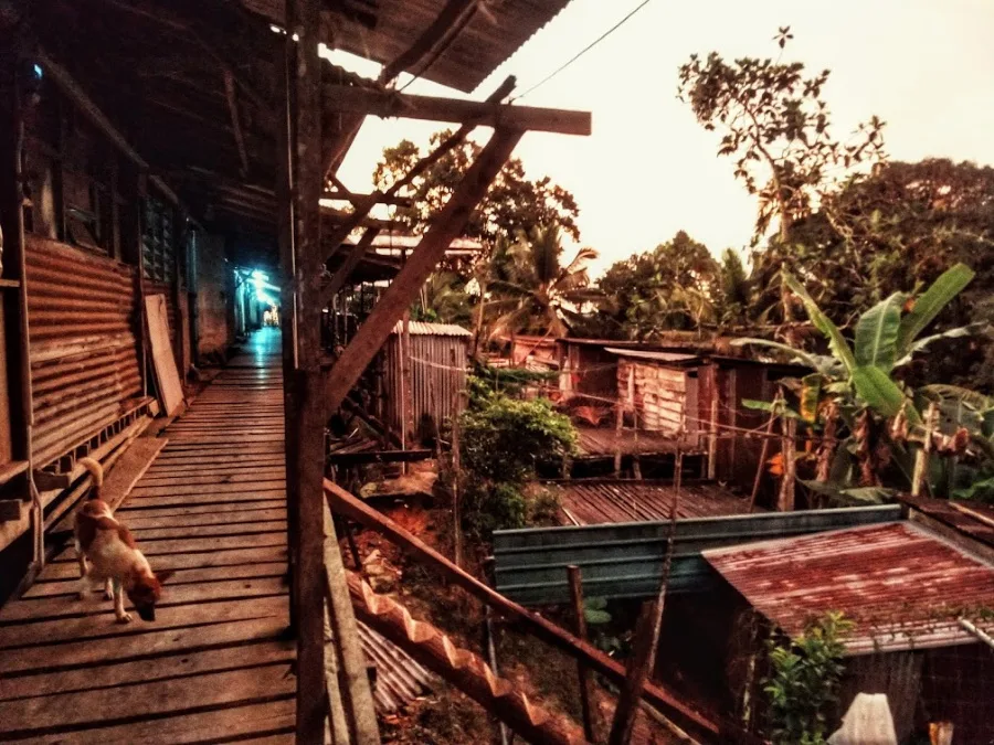 Sarawak Longhouse pics exterior raised walkway