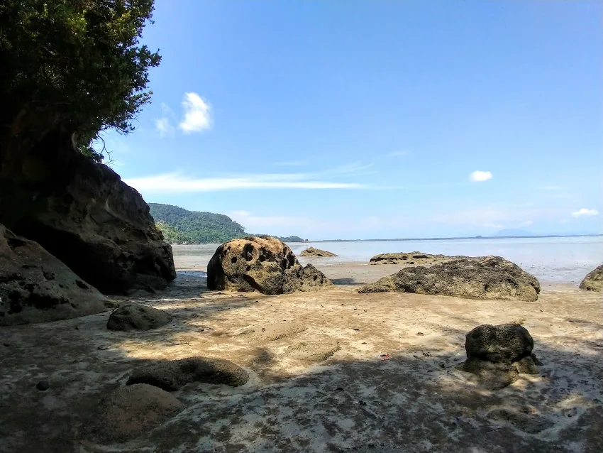 Beach Bako National Park Kuching Things to do in Kuching Visit Bako National Park