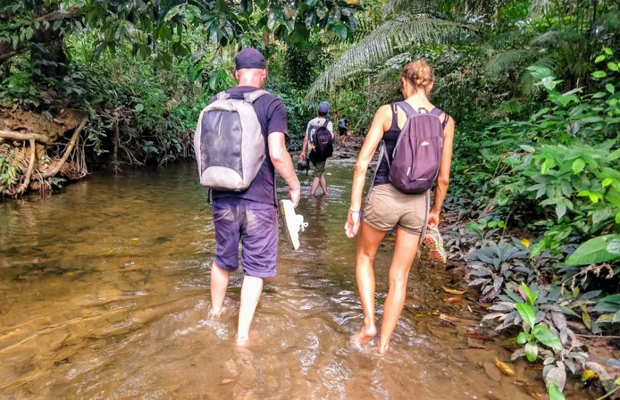 trekking in Borneo walking in Jungle streams