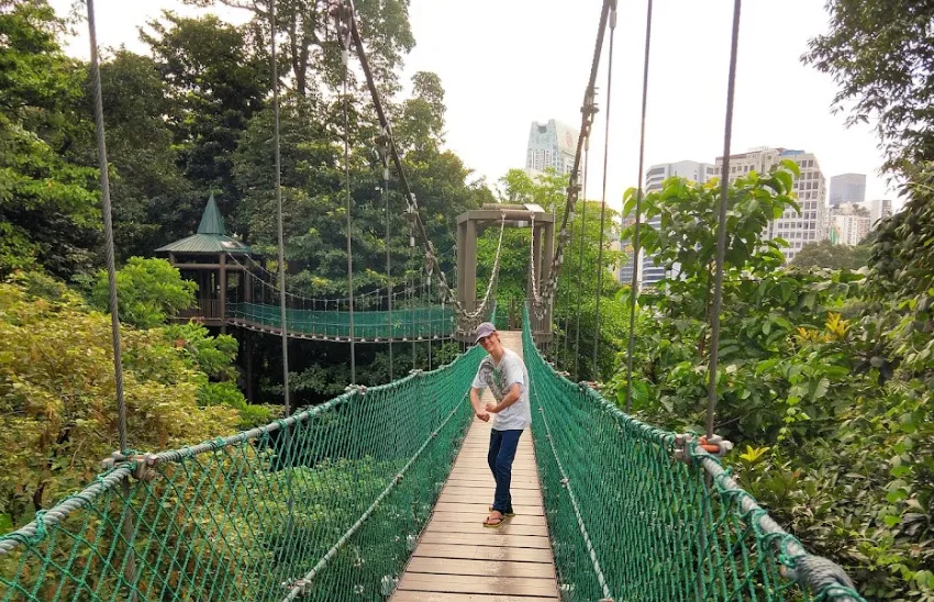 Raised walkways Kuala Lumpur With Kids Forest Eco Park With Kids