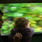 Kids on a train in Sri Lanka travelling from Colombo to Galle