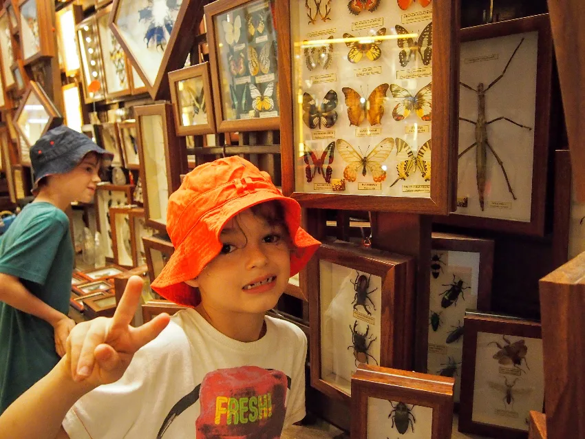 Kuala Lumpur central market with kids