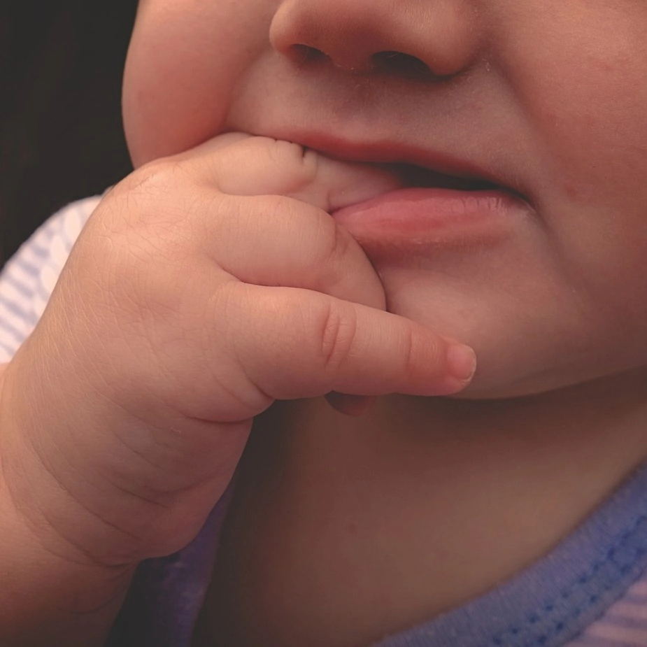 family gap year babies toddlers