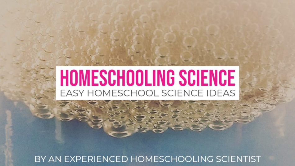 Homeschooling Science Easy Homeschool Science Ideas