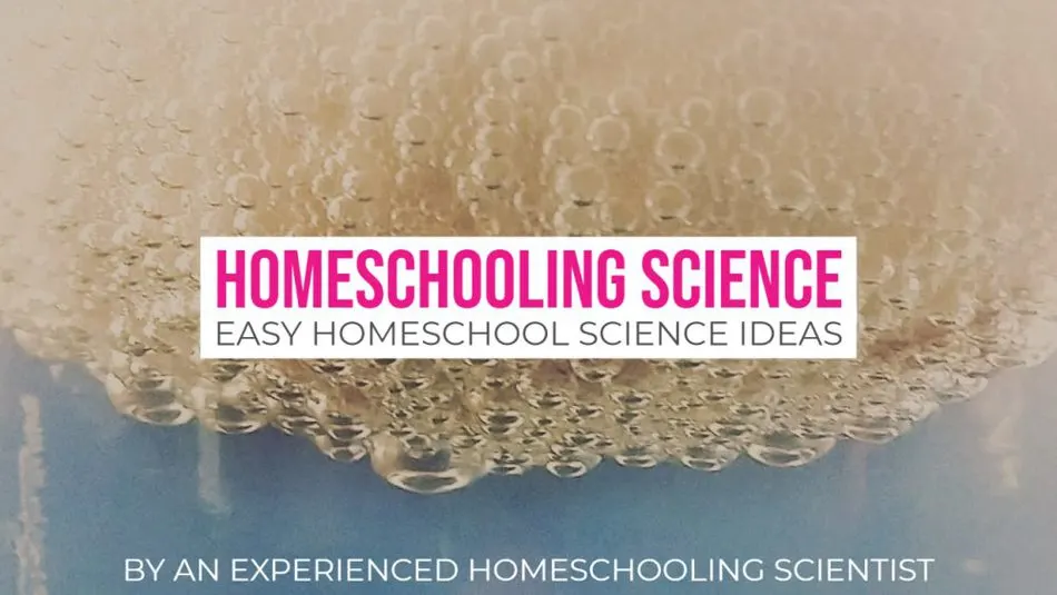 Homeschooling Science Easy Homeschool Science Ideas