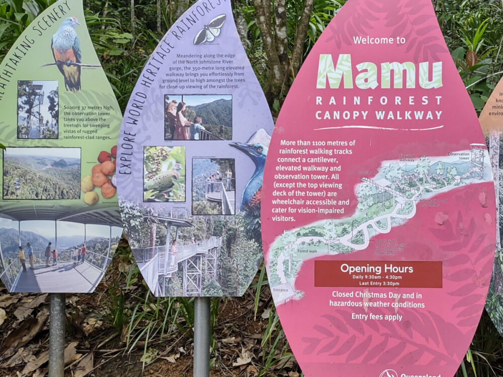 Best Places to Visit in Queensland Mamu rainforest