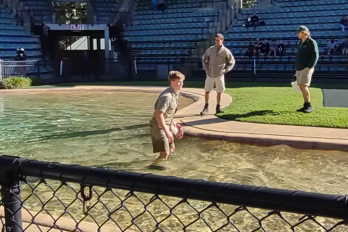 See Robert Irwin Croc Show Australia Zoo Queensland