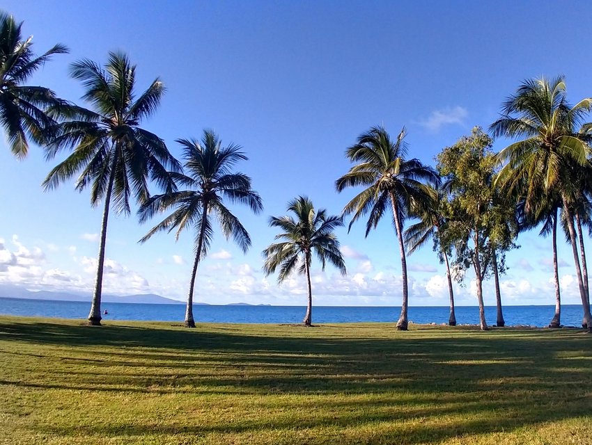 View from Port Douglas Tropical Living Blue Skies Palm Trees