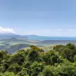 Tropical view of rainforest, beach, and blue sea