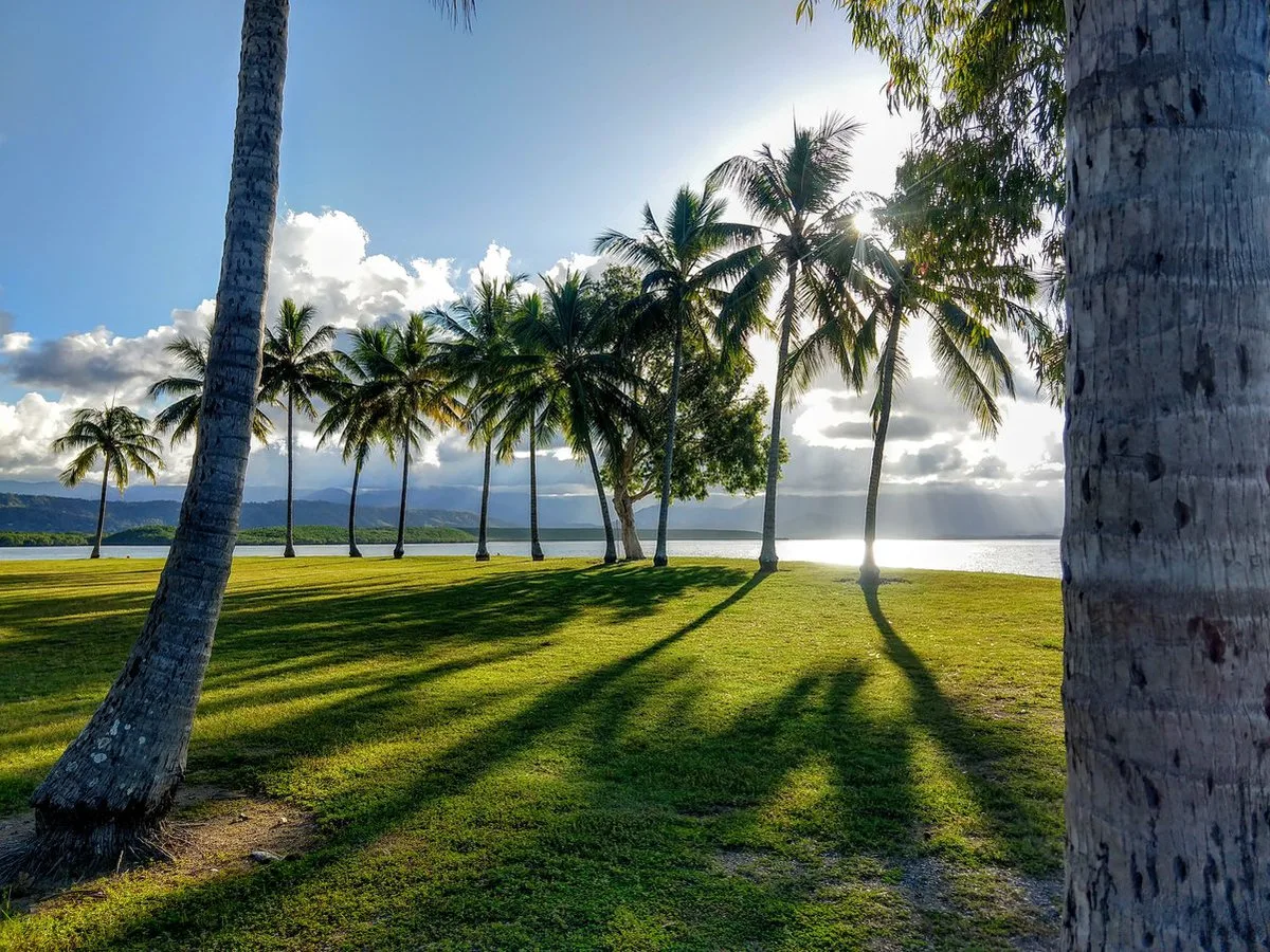 sun going down behind the mountains, Dickson's Inlet and palm trees Rex Smeal Park Port Douglas