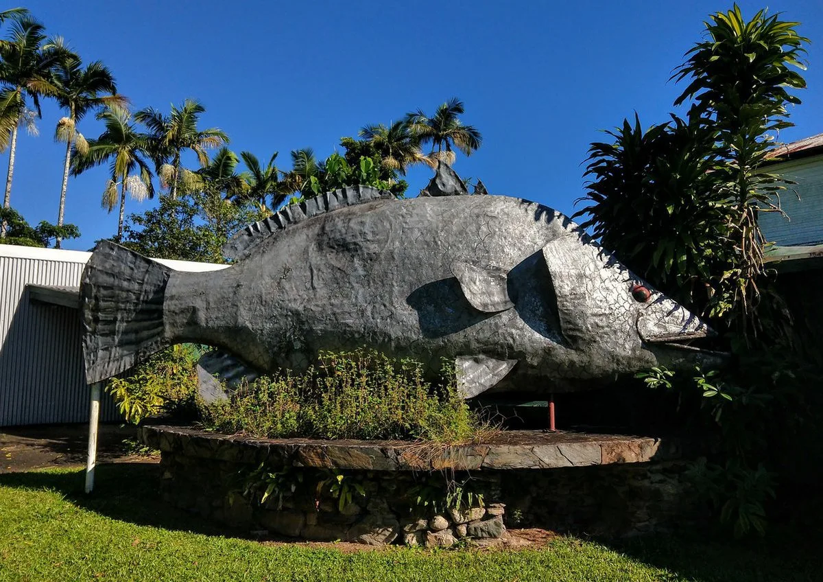 Metal Barramundi Fish The Big Barramundi Daintree Village Australia