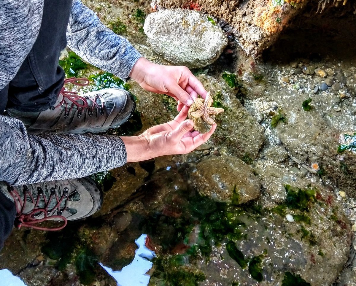 Wales with kids child on beach rockpools