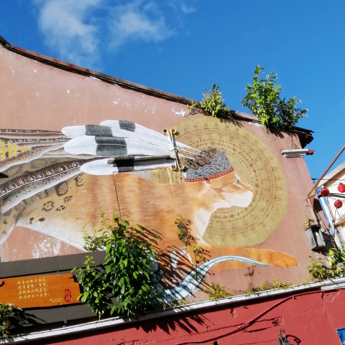 Beautiful cat street art in old kuching, cat in native head dress