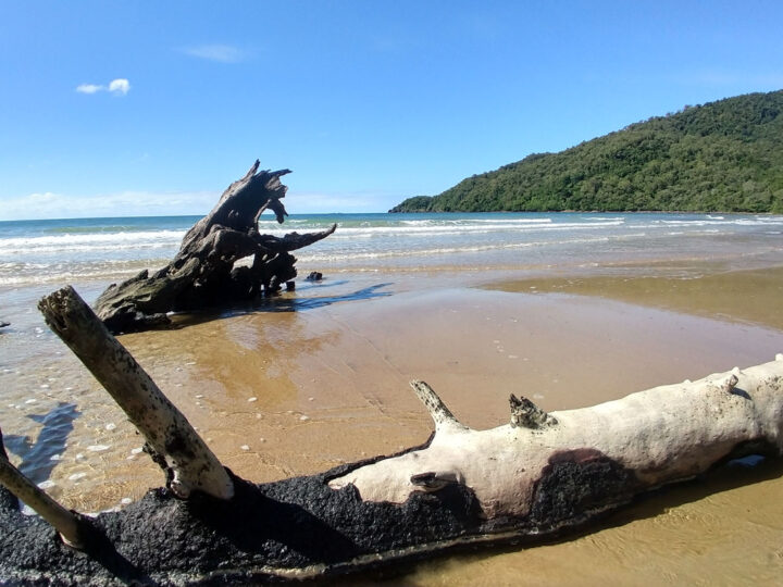 cow bay cape tribulation near Port Douglas beach sea
