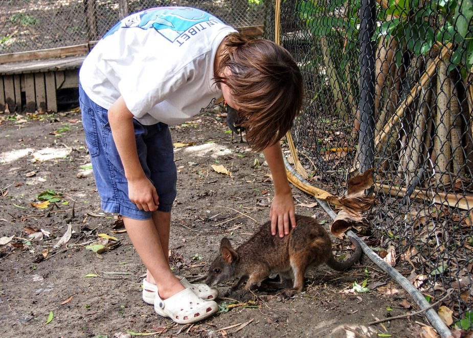 Port Douglas With Kids (& Things To Do in Port Douglas With Kids)