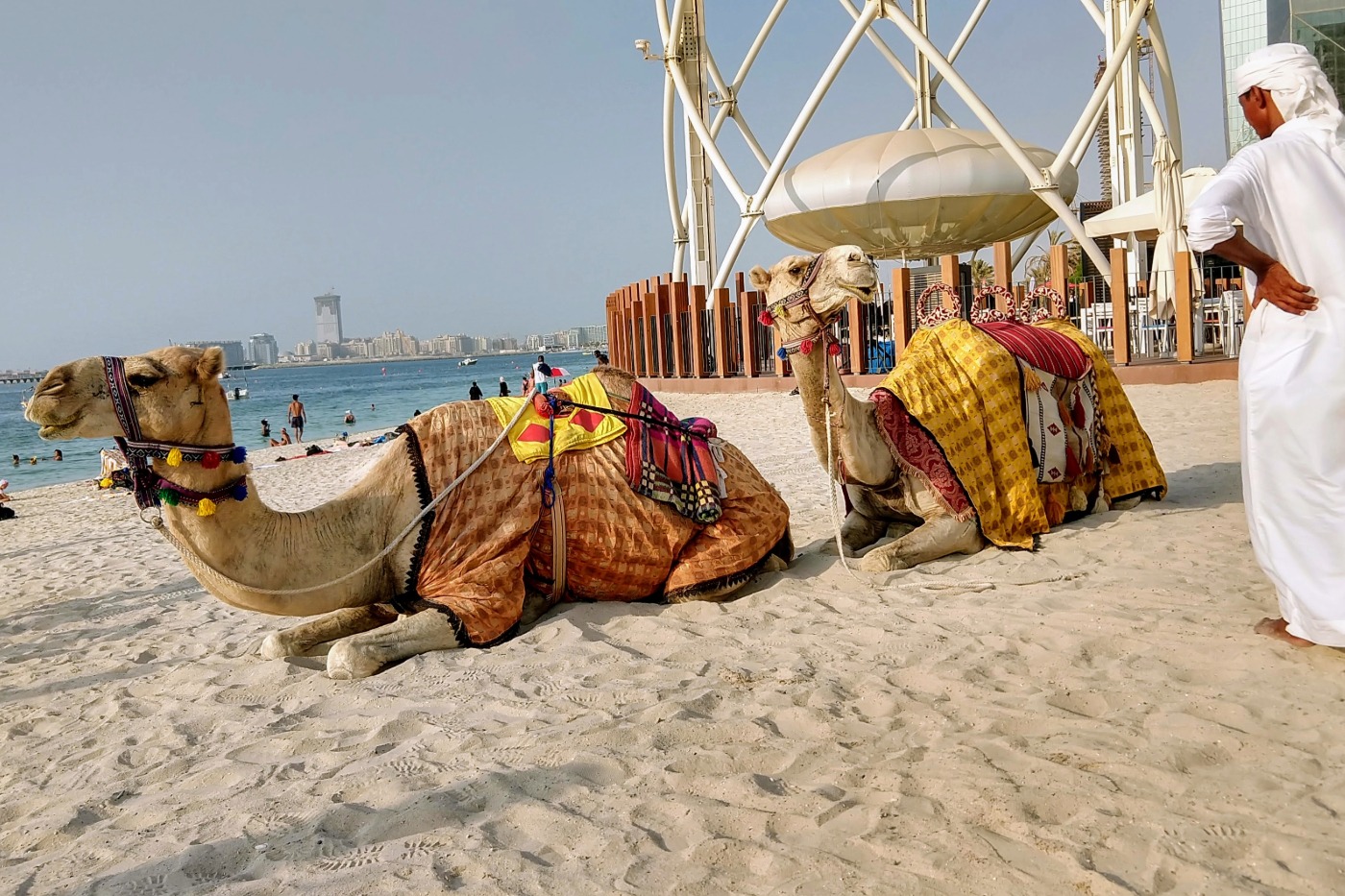 Dubai beach view with camels