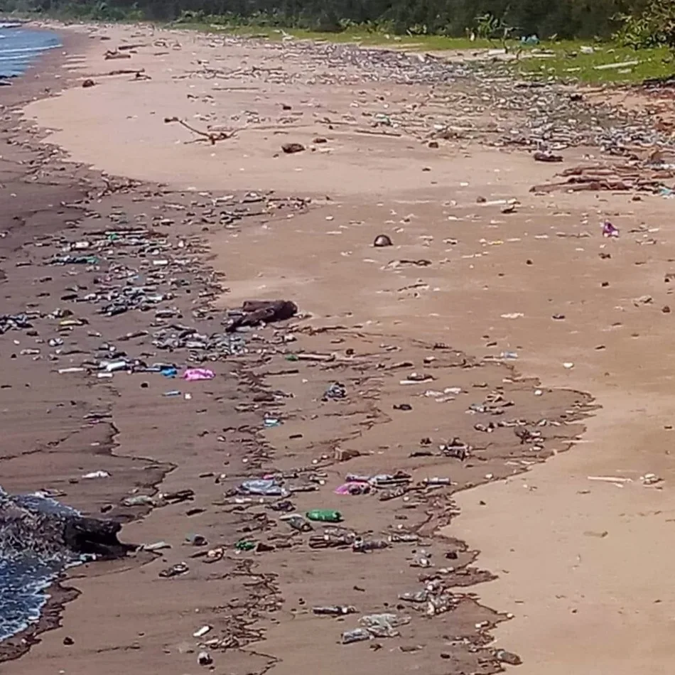 Beach pollution Borneo