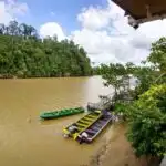 Jungle Adventure Sabah