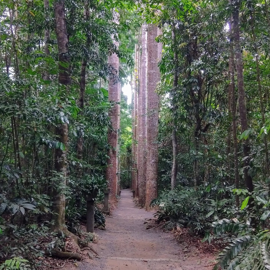 Paronella Park Gardens