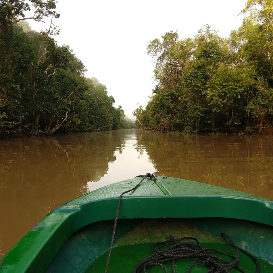 River boat safari sabah malaysia