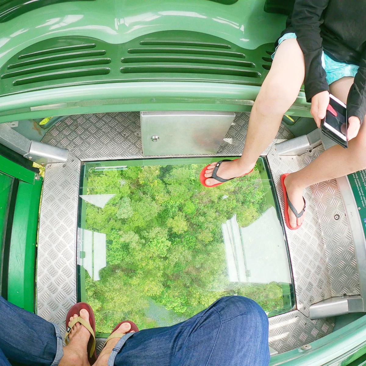 Cairns with kids rainforest cableway diamond class