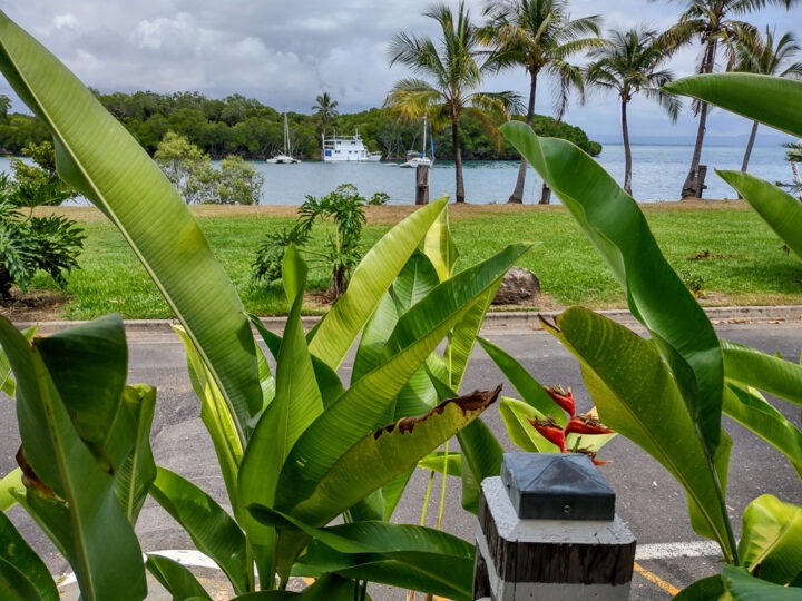 Sea views from Port Douglas restaurant Barbados