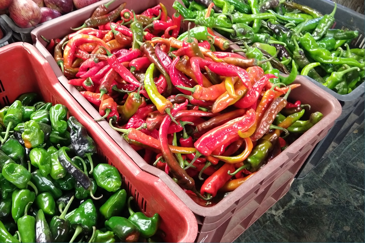 chilli peppers for chili cheese in Bhutan