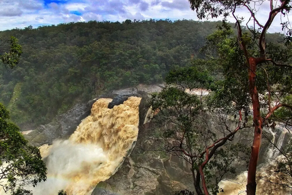 Things to do in Cairns with kids see Barron River Falls
