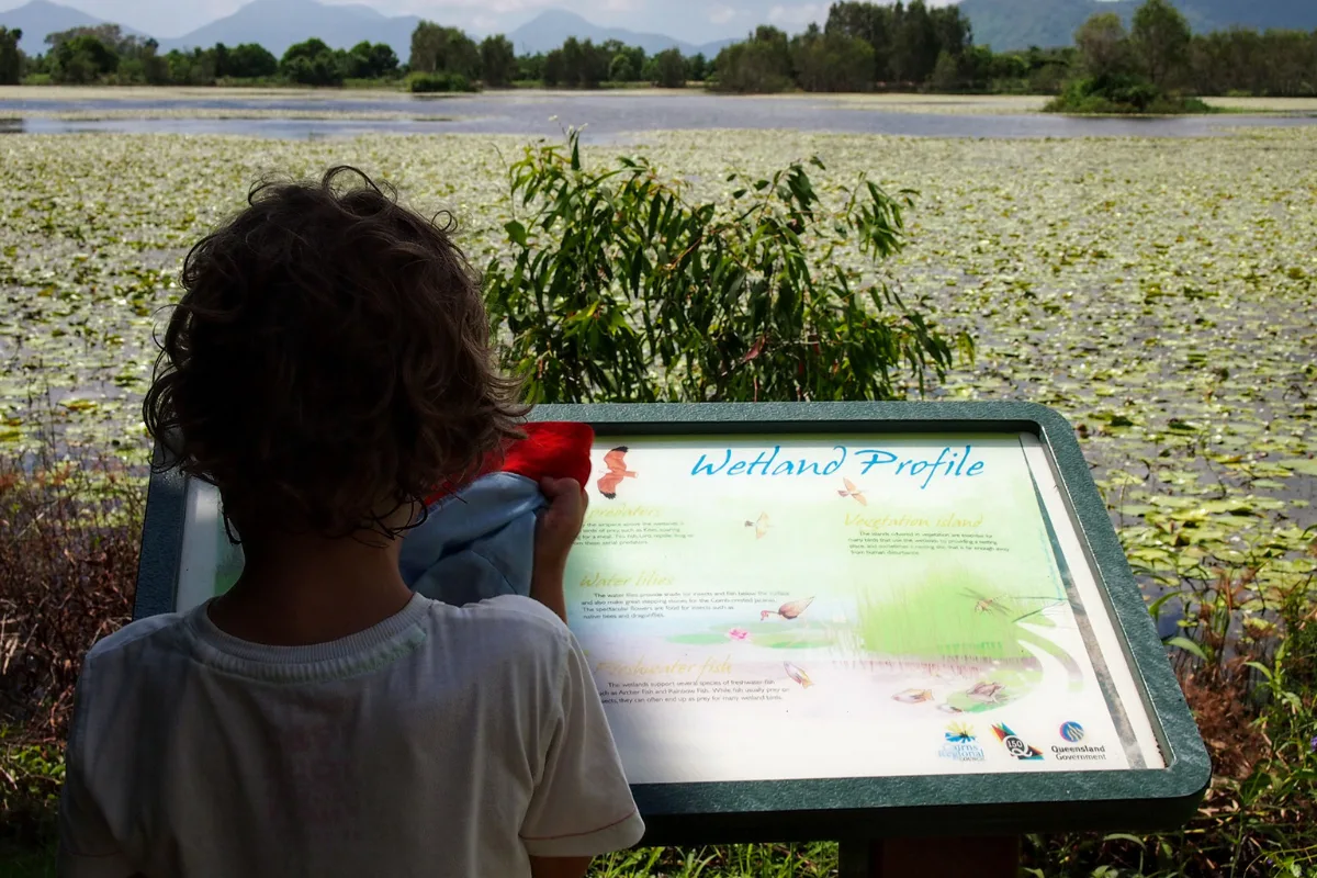 Things to do in Cairns with kids visit Catana wetlands
