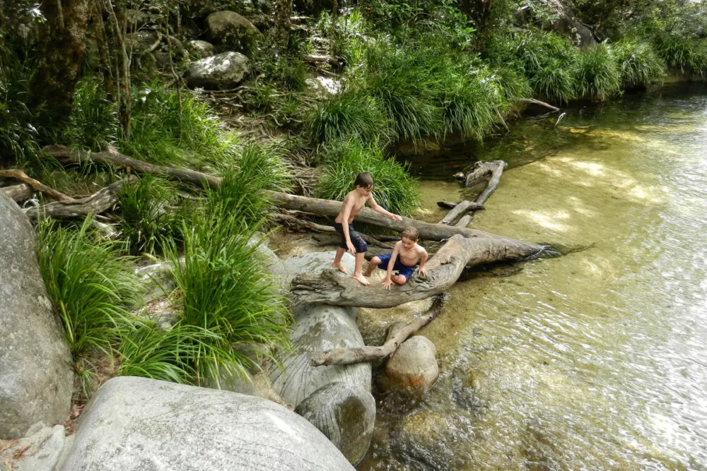 Things to do in Cairns with kids visit Mossman Gorge