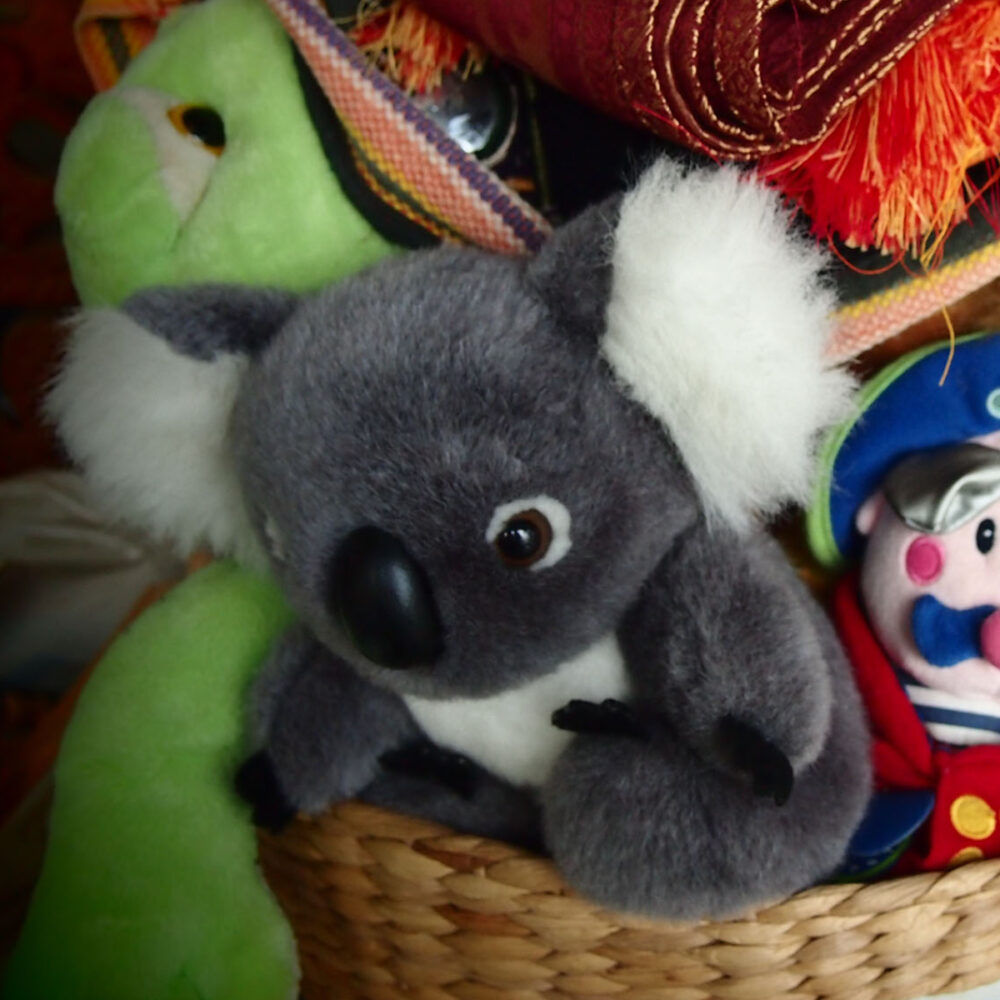 australia gifts for kids cuddly koala