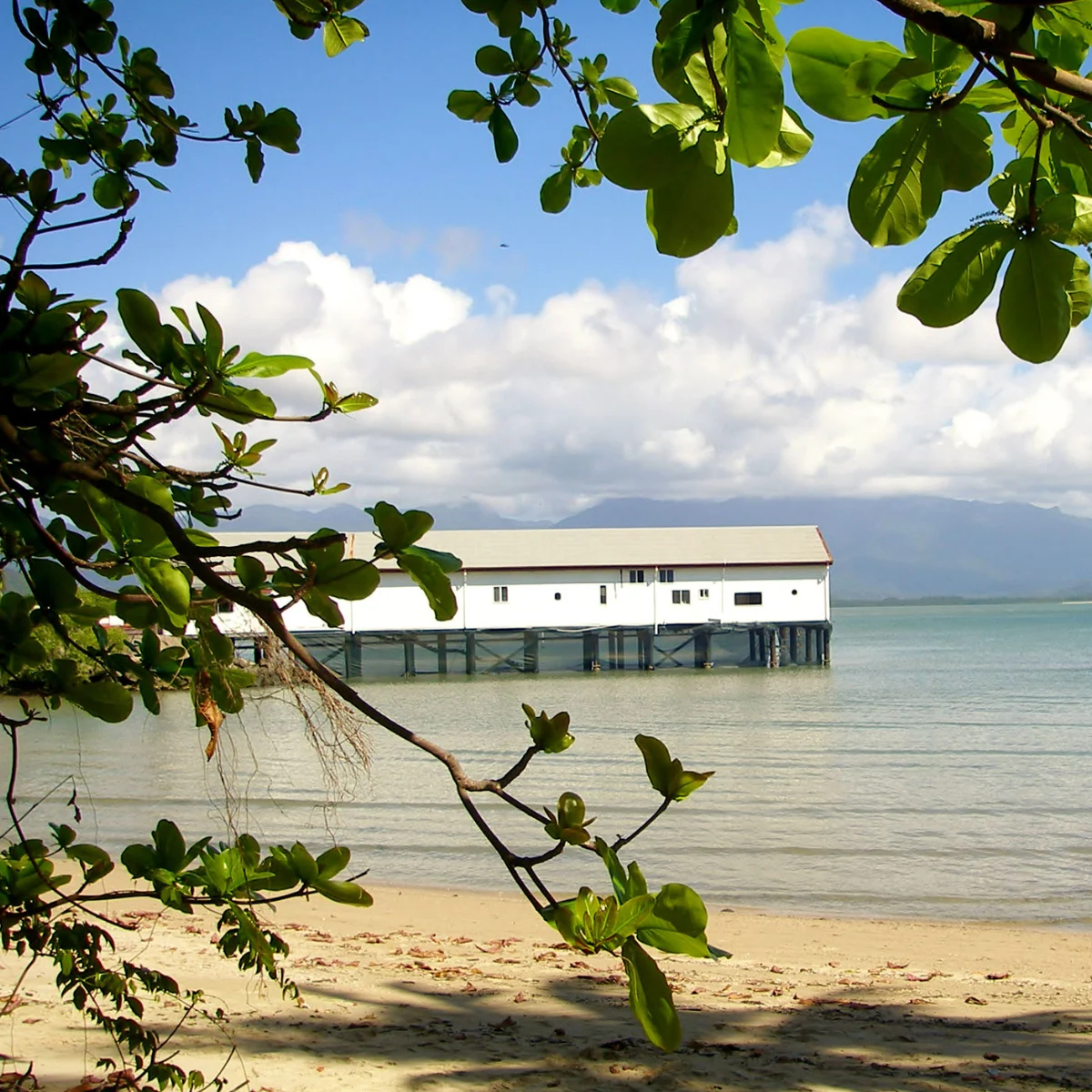 The Port Douglas sugar wharf north of cairns