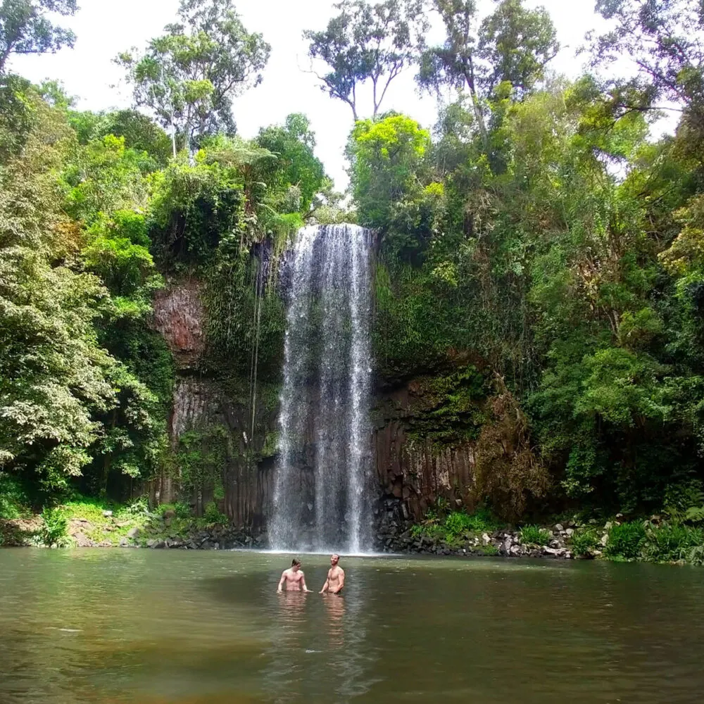 You can swim in a waterfall near Cairns at Millaa Millaa