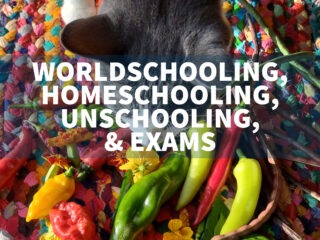 sitting exams for worldschoolers homeschoolers unschoolers