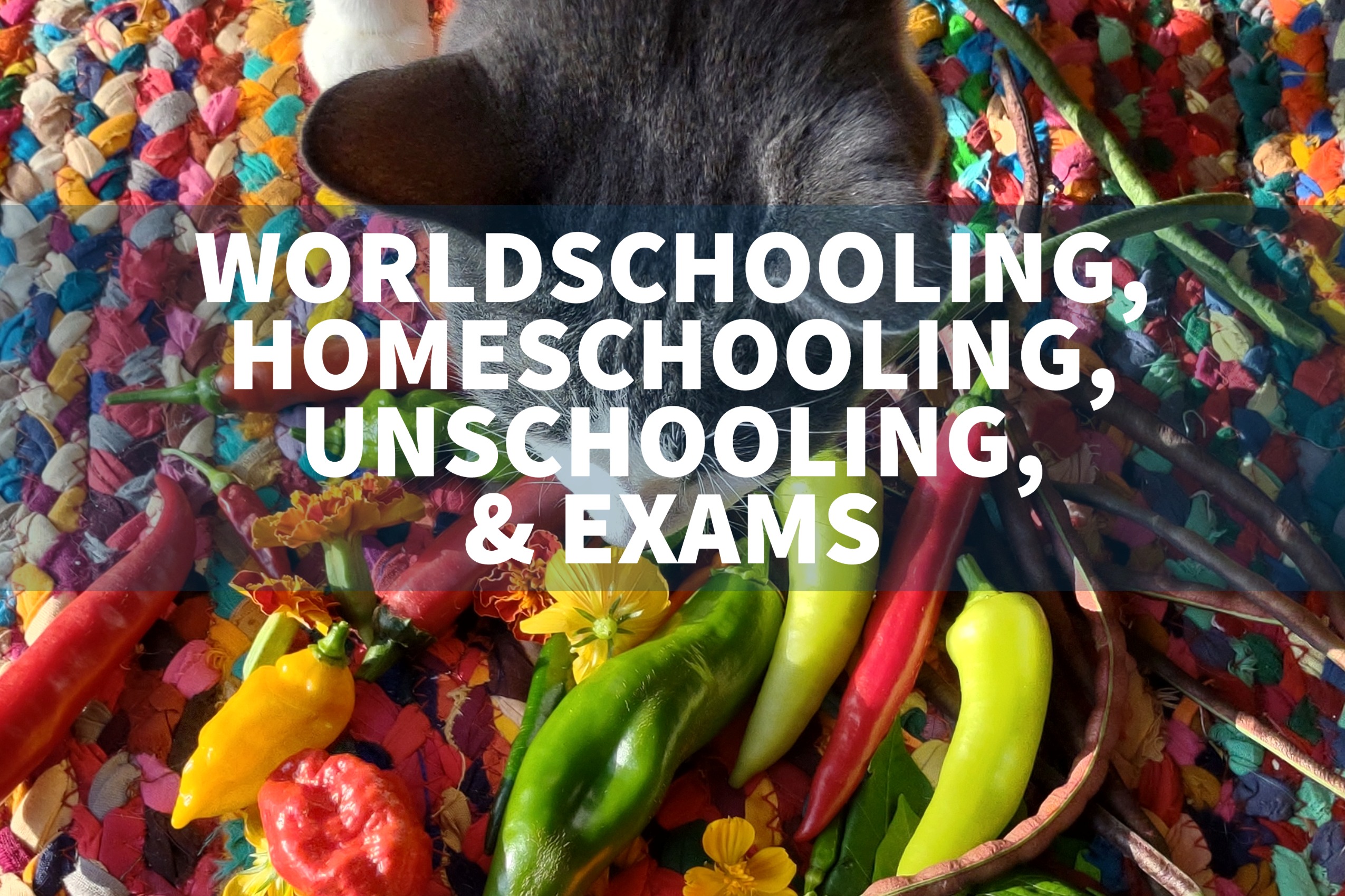 sitting exams for worldschoolers homeschoolers unschoolers