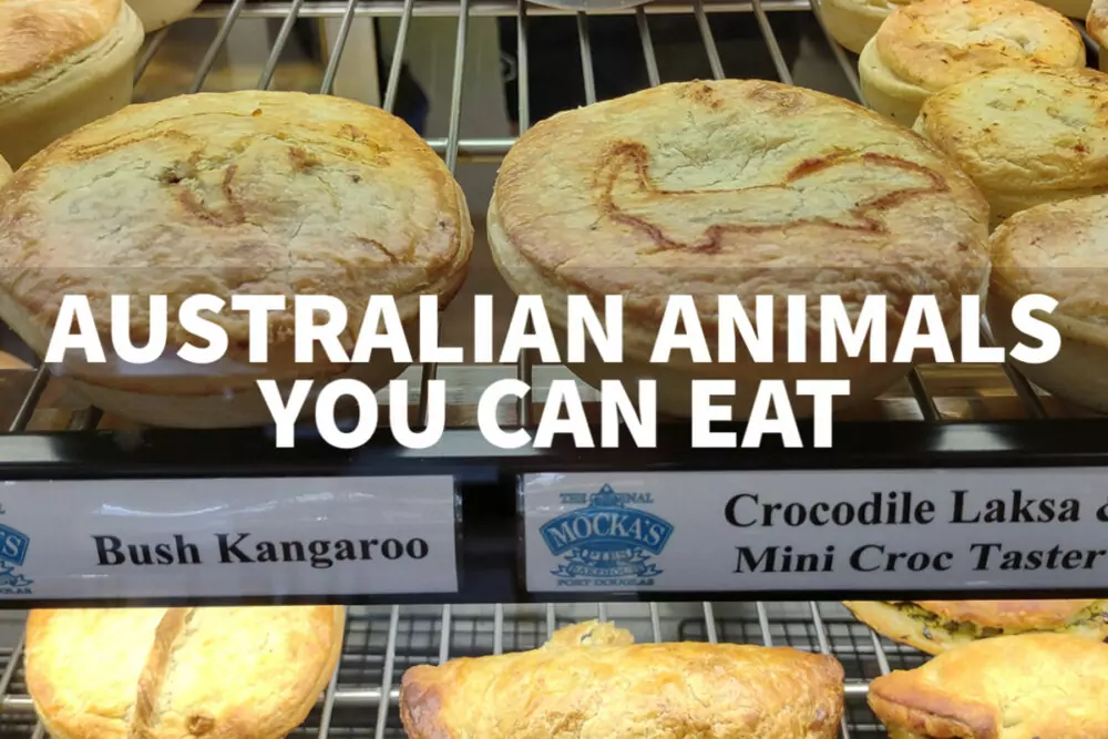 Australian Animals, Can You Eat Them? -