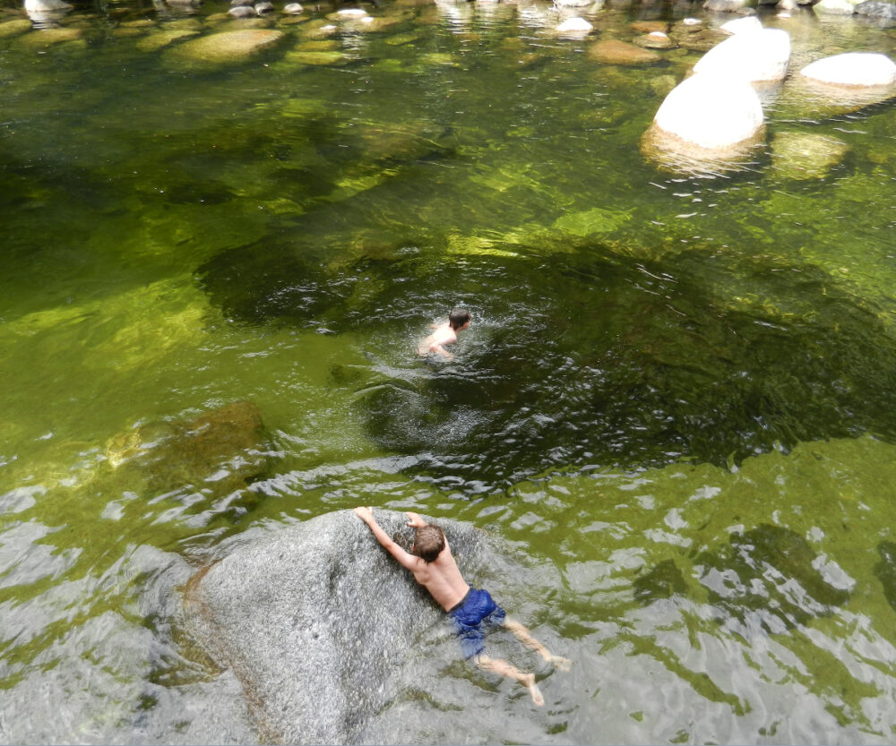 swimming at mossman gorge