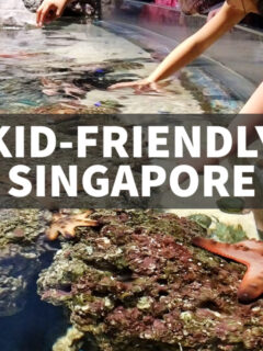 things to do in Singapore with kids children touch pool