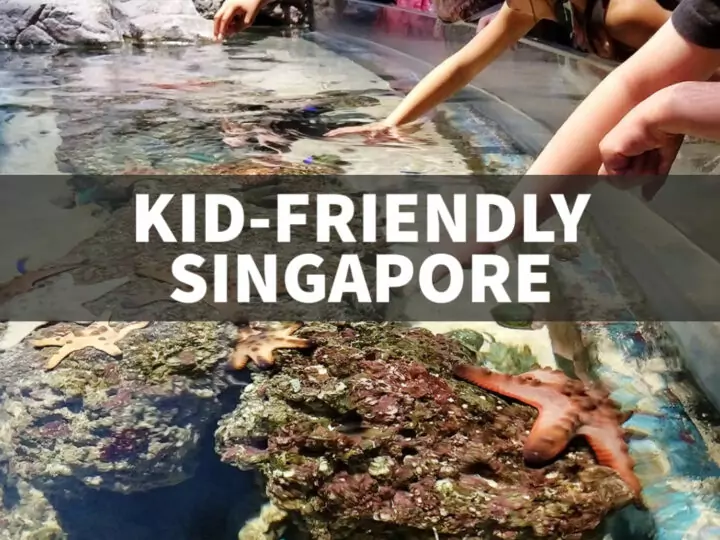 things to do in Singapore with kids children touch pool