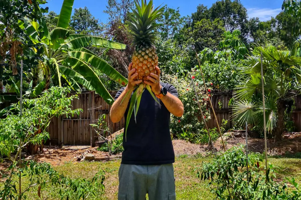 working from home gardening