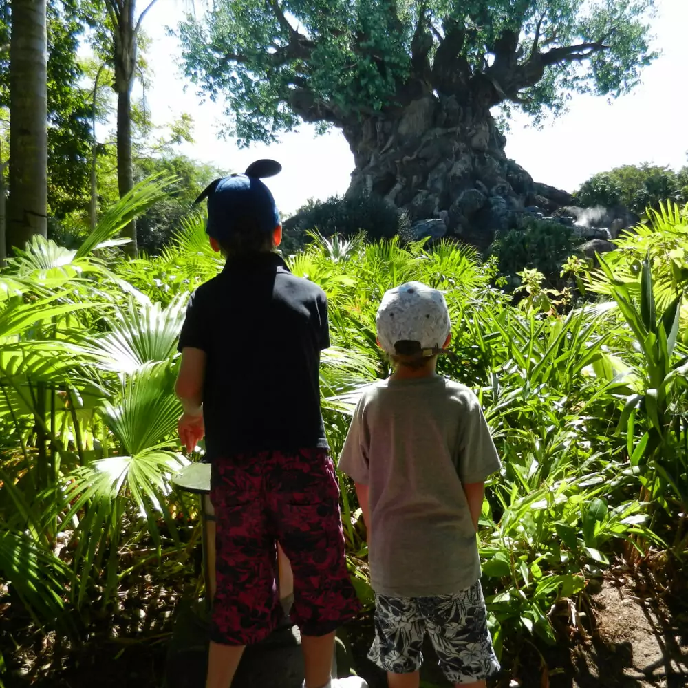 Animal Kingdom for kids and toddlers