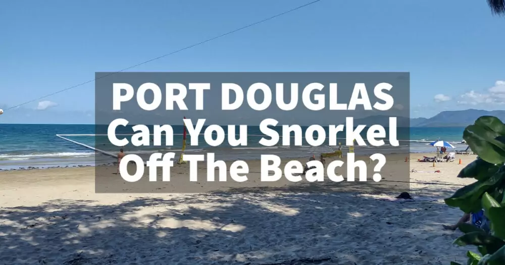 Port Douglas can you snorkel off the beach