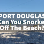 Port Douglas can you snorkel off the beach