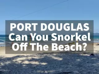 Port Douglas can you snorkel off the beach