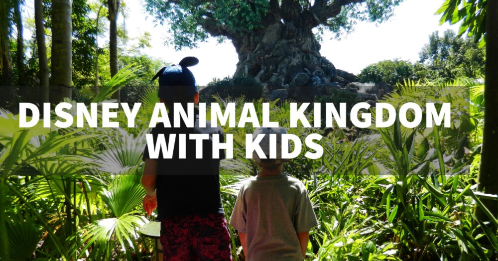 disney animal kingdom park with kids