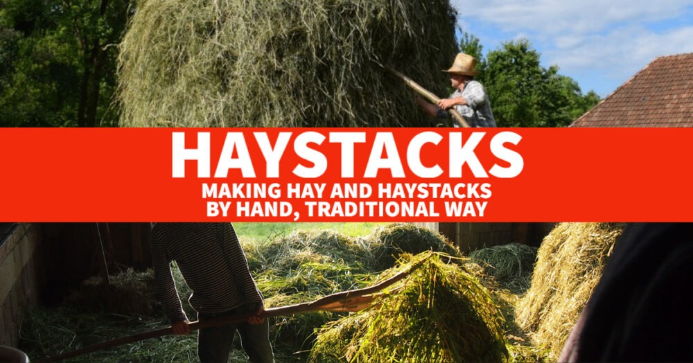 haystacks and hay making by hand traditional