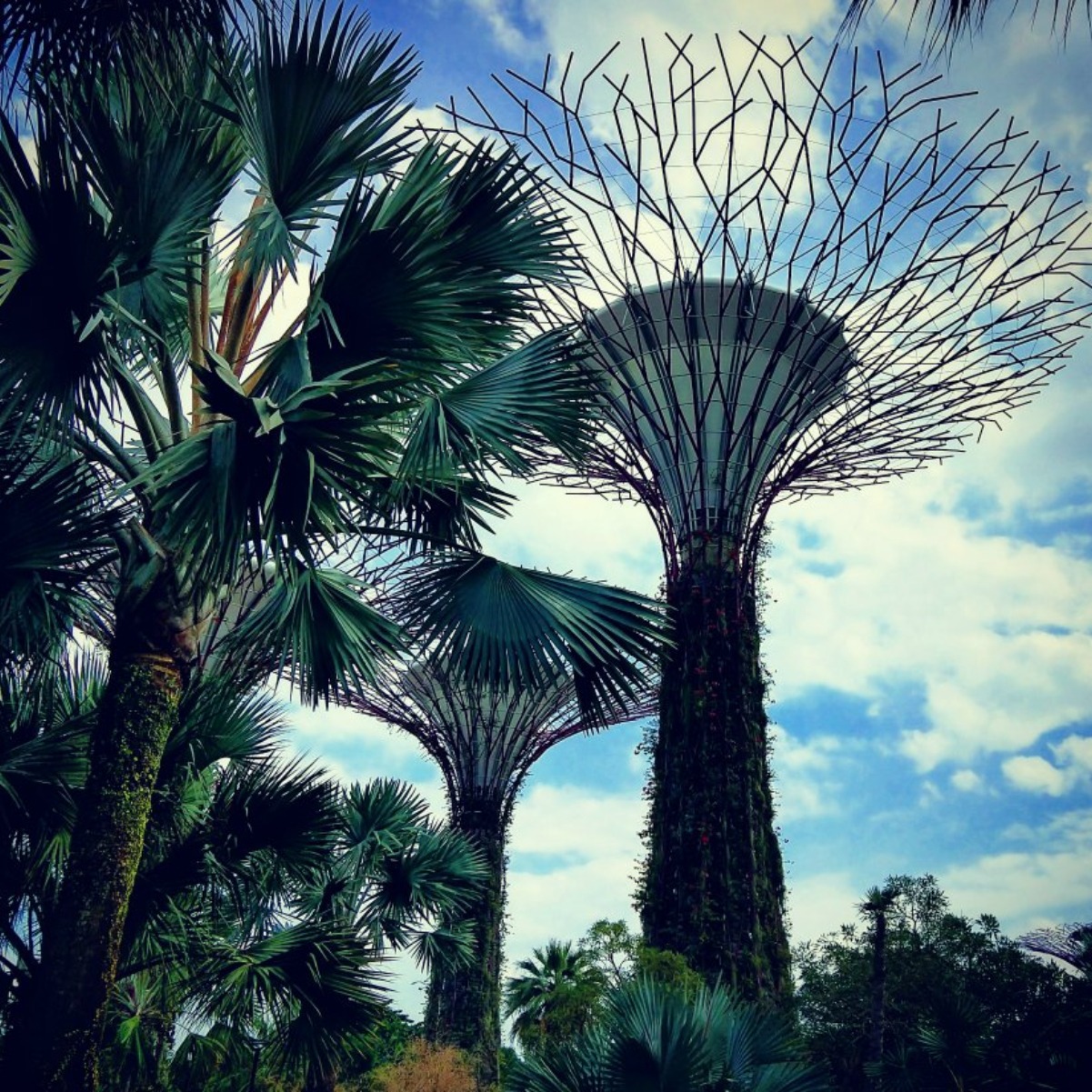 Singapore Gardens by the bay